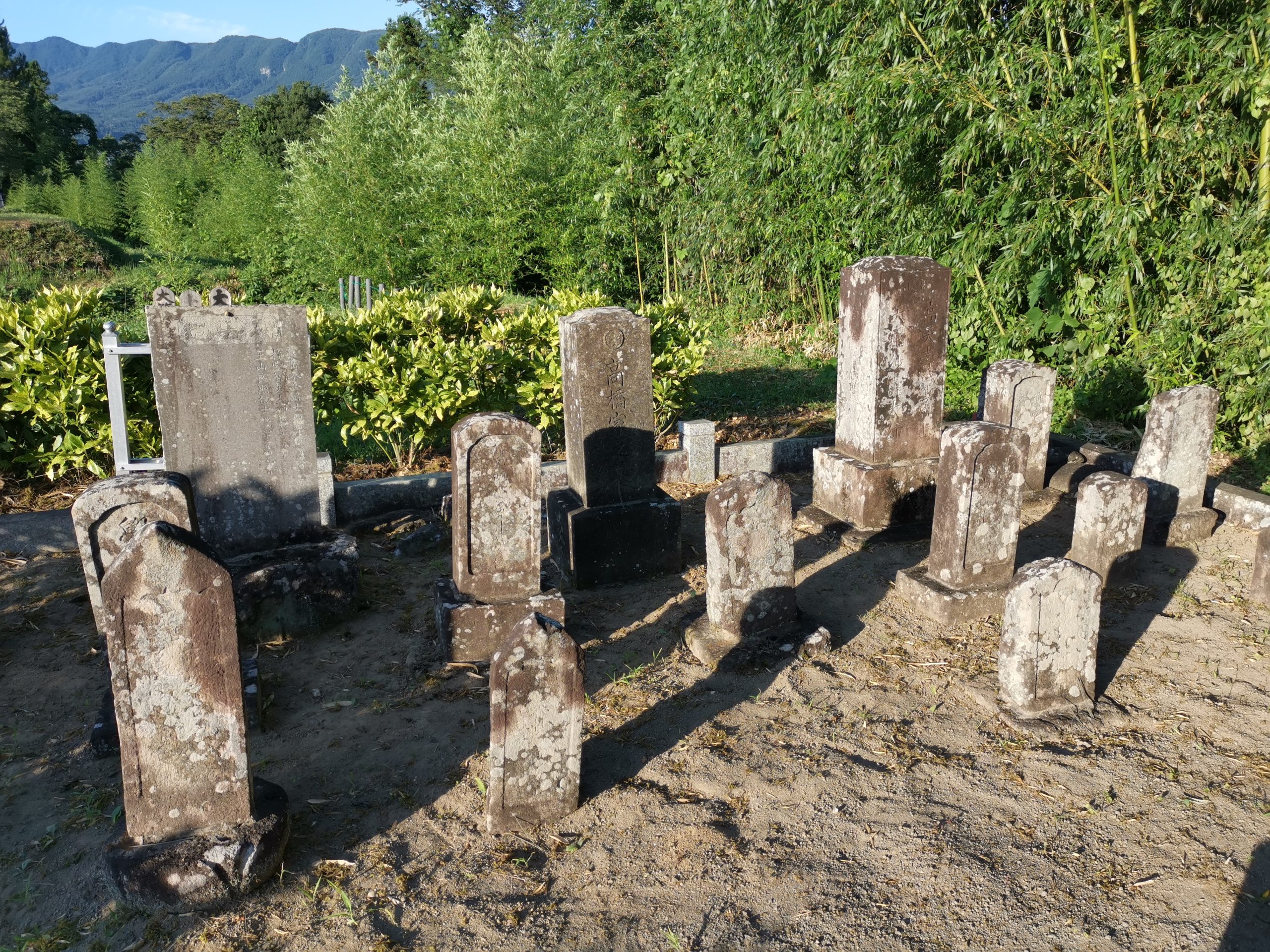 墓地埋葬法における死産